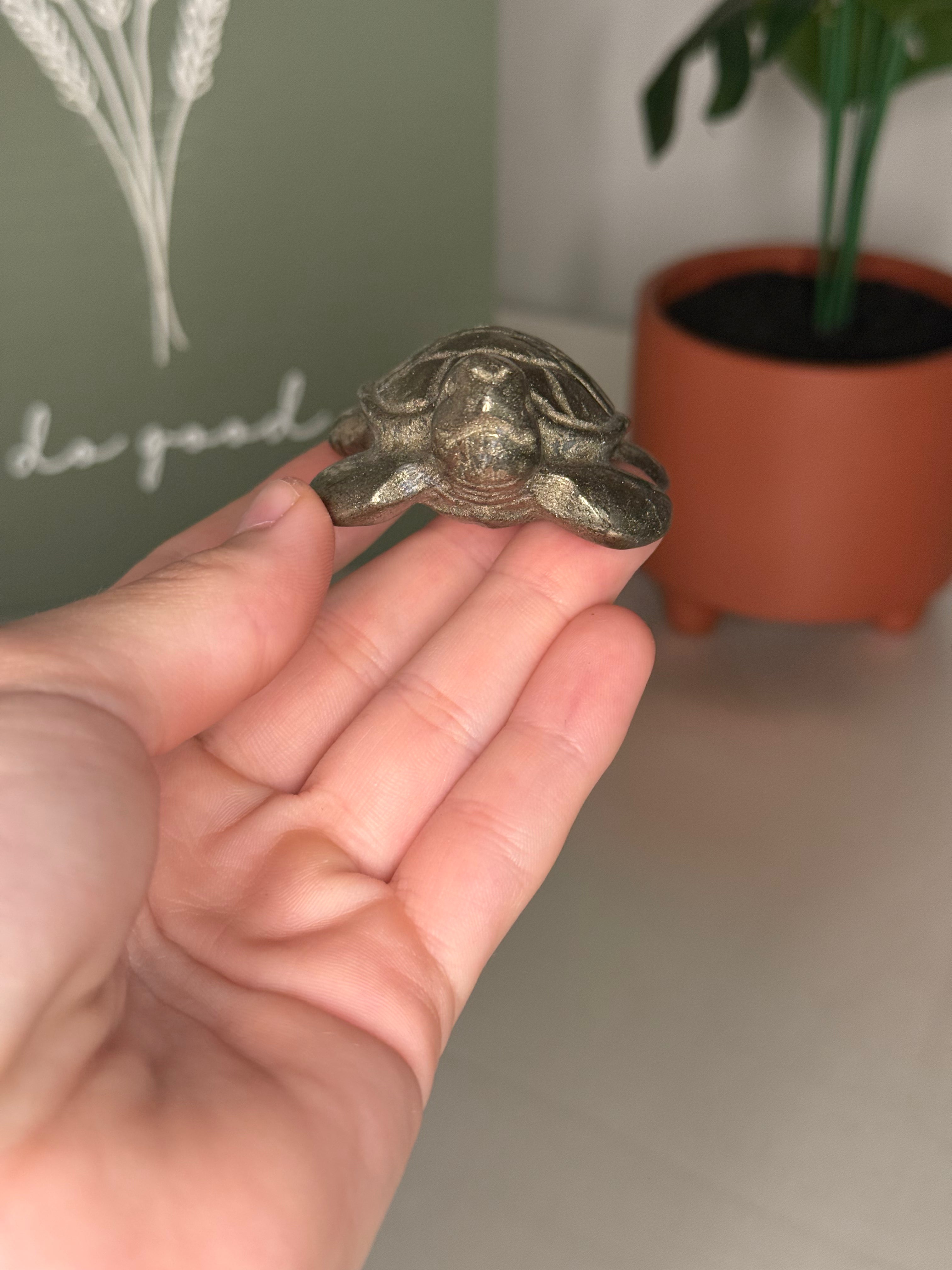 Pyrite turtle