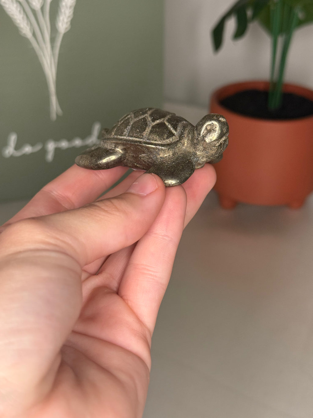 Pyrite turtle