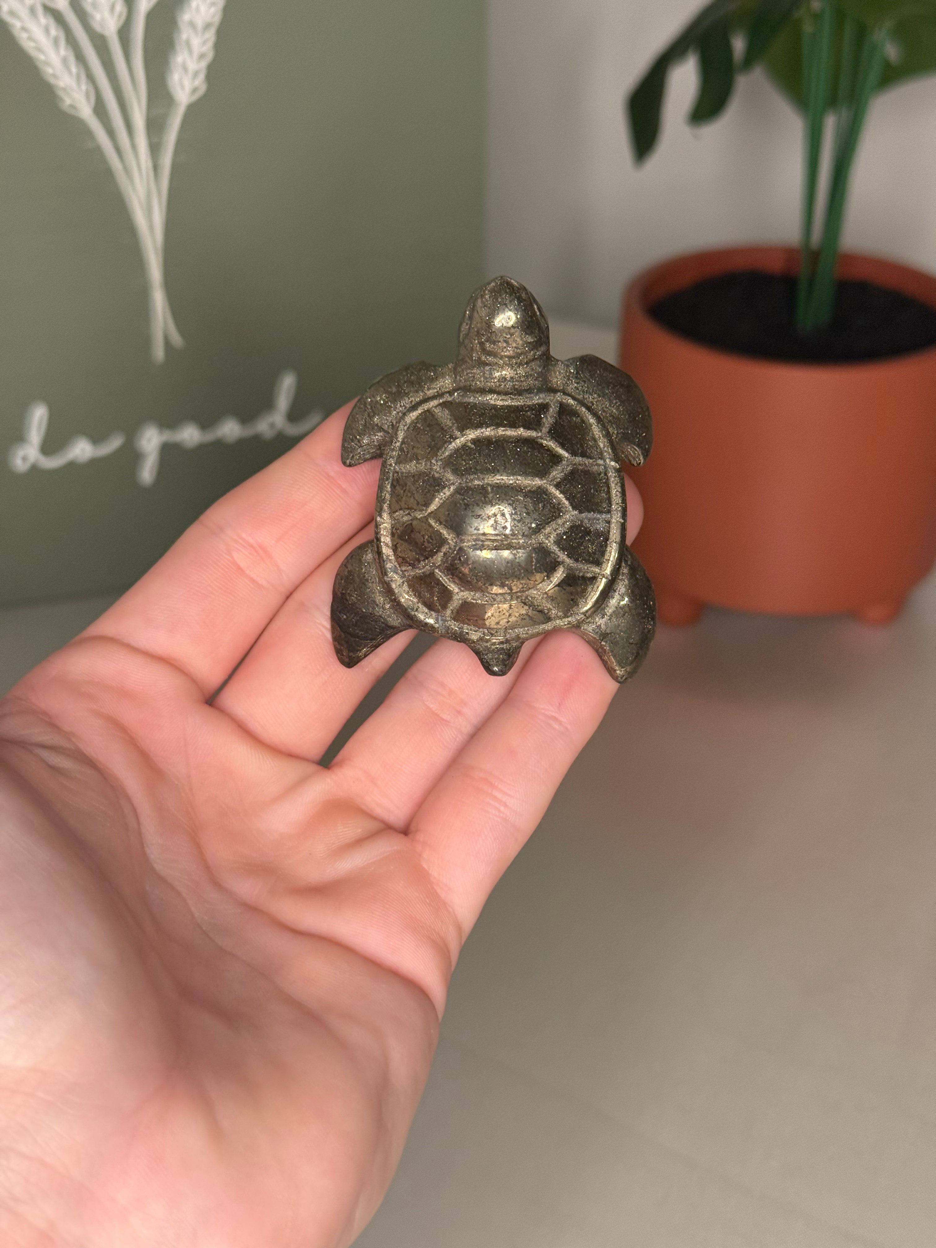 Pyrite turtle
