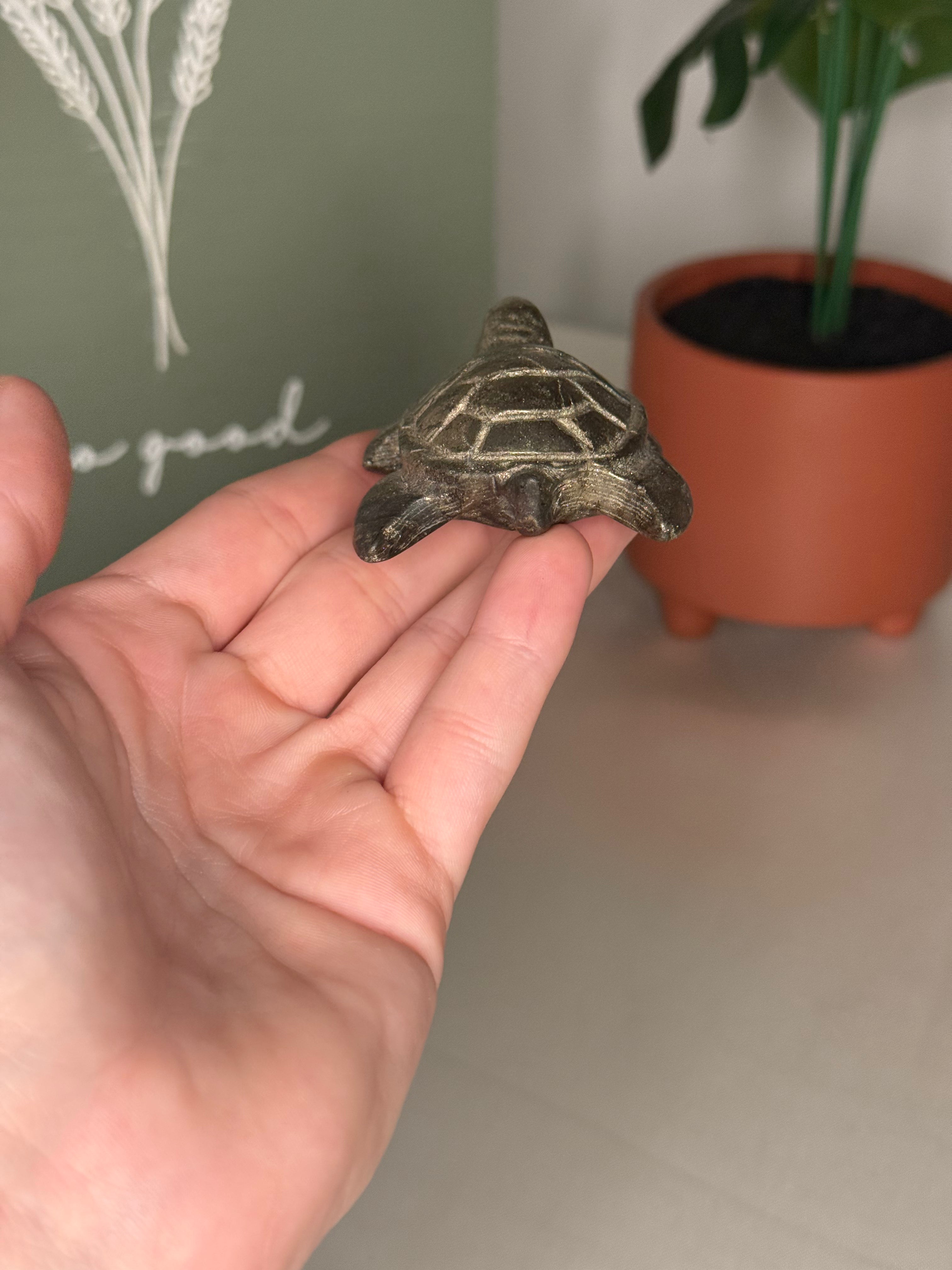 Pyrite turtle
