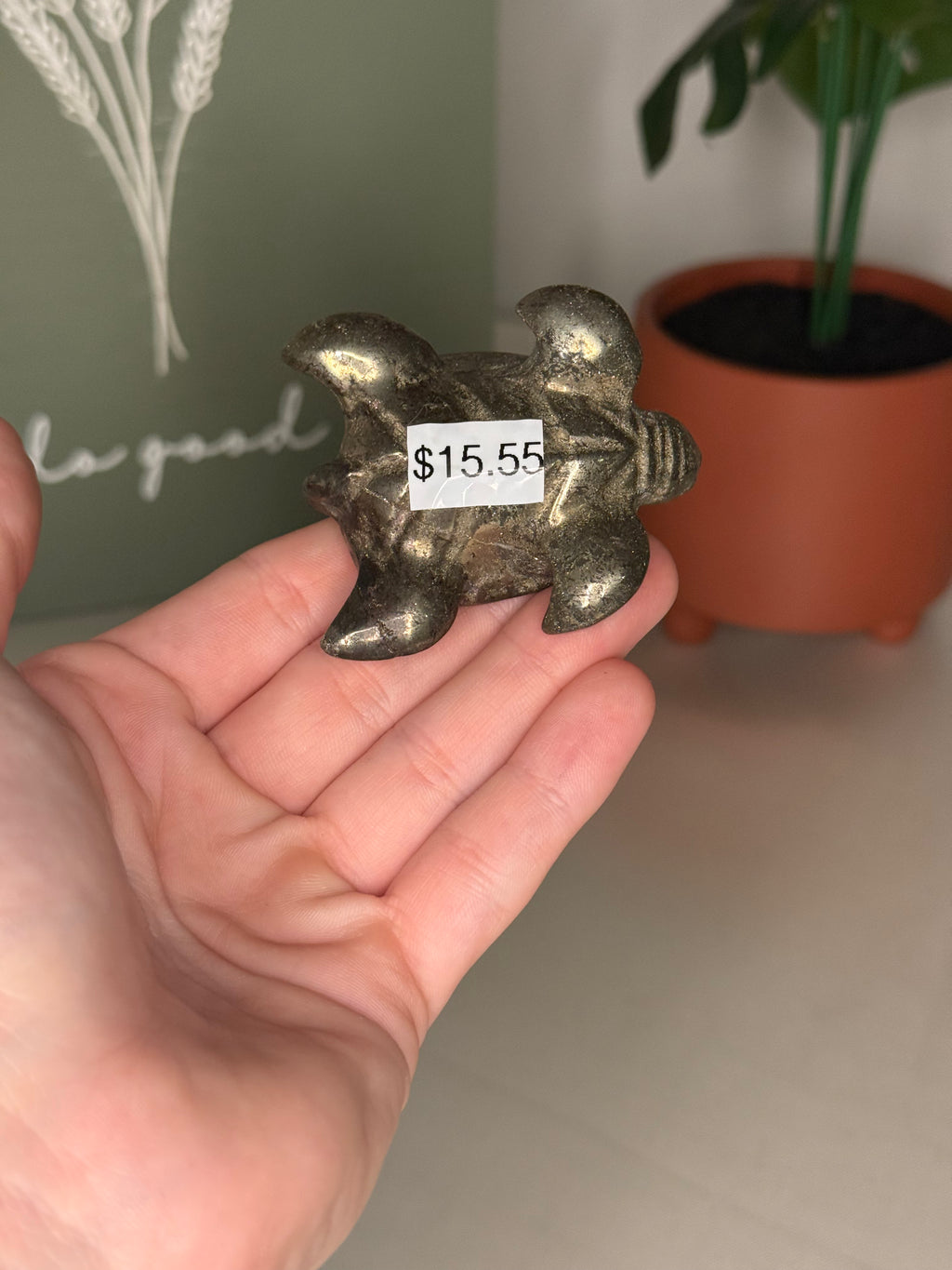 Pyrite turtle