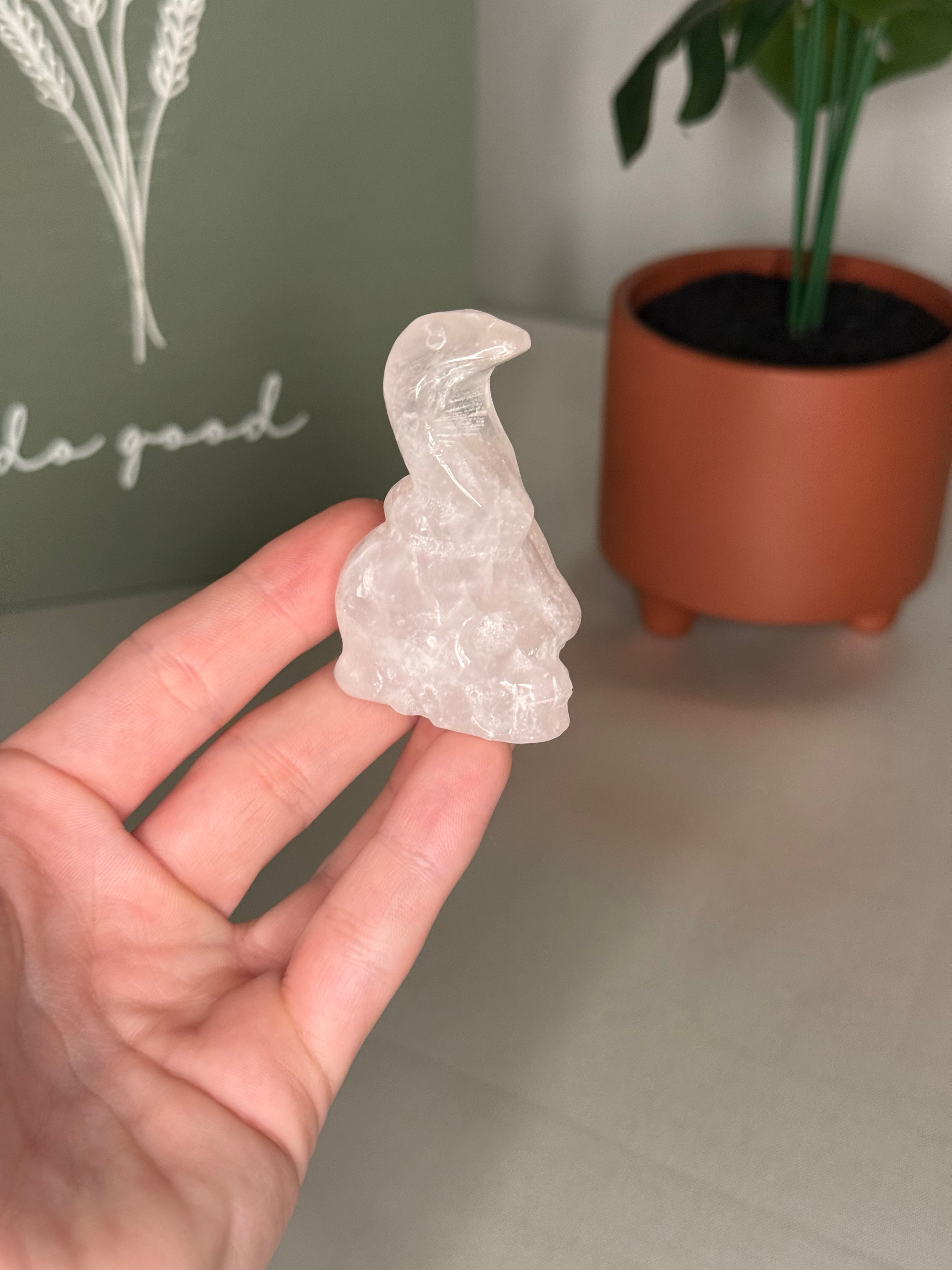 Clear quartz snake skull