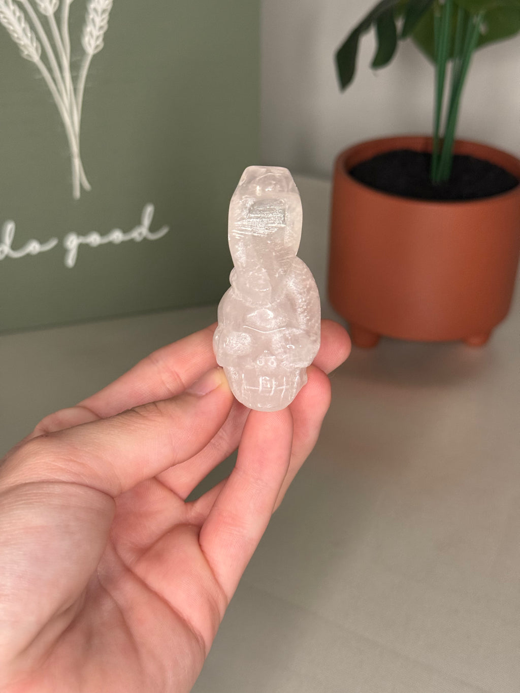 Clear quartz snake skull
