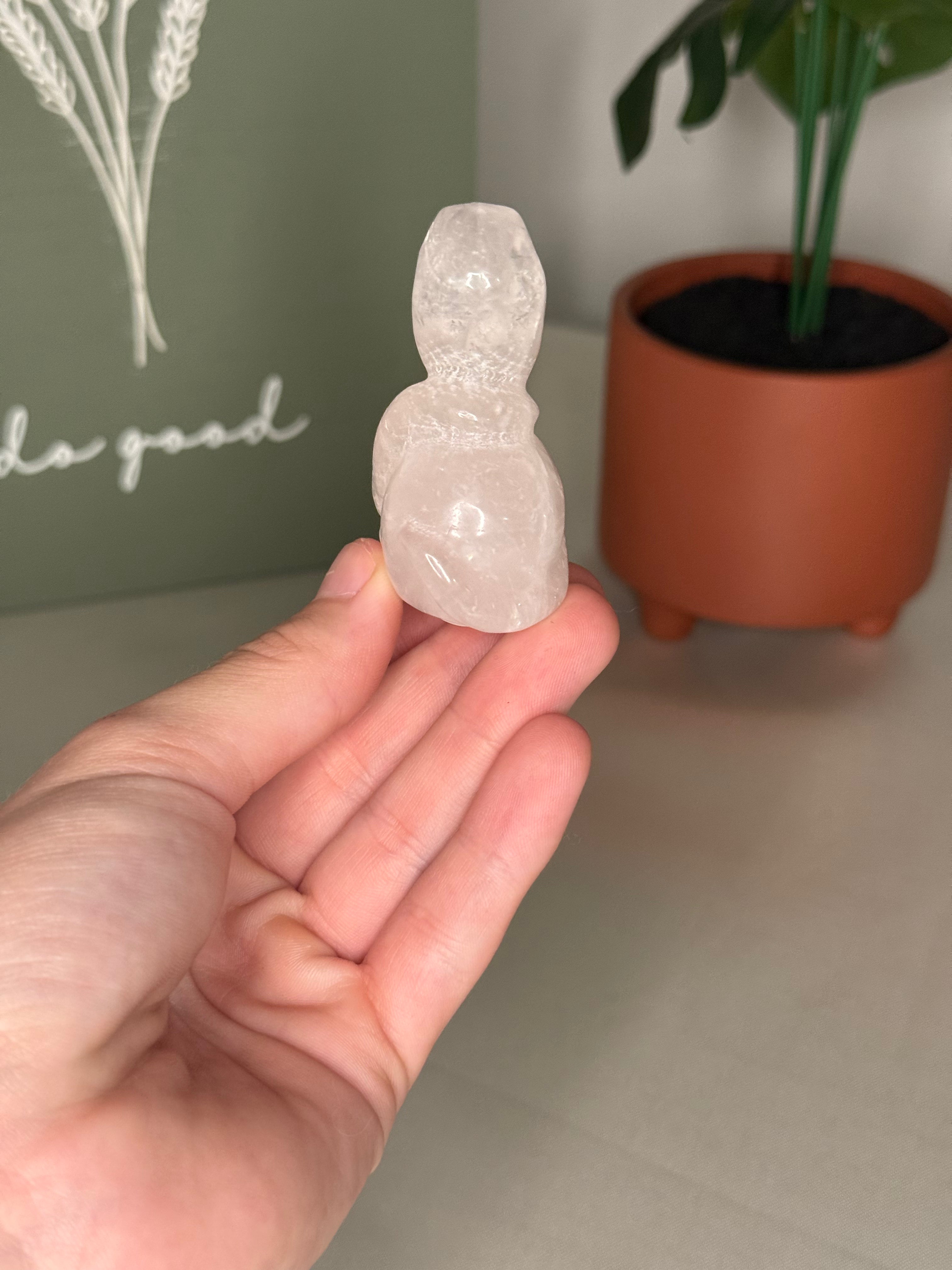 Clear quartz snake skull