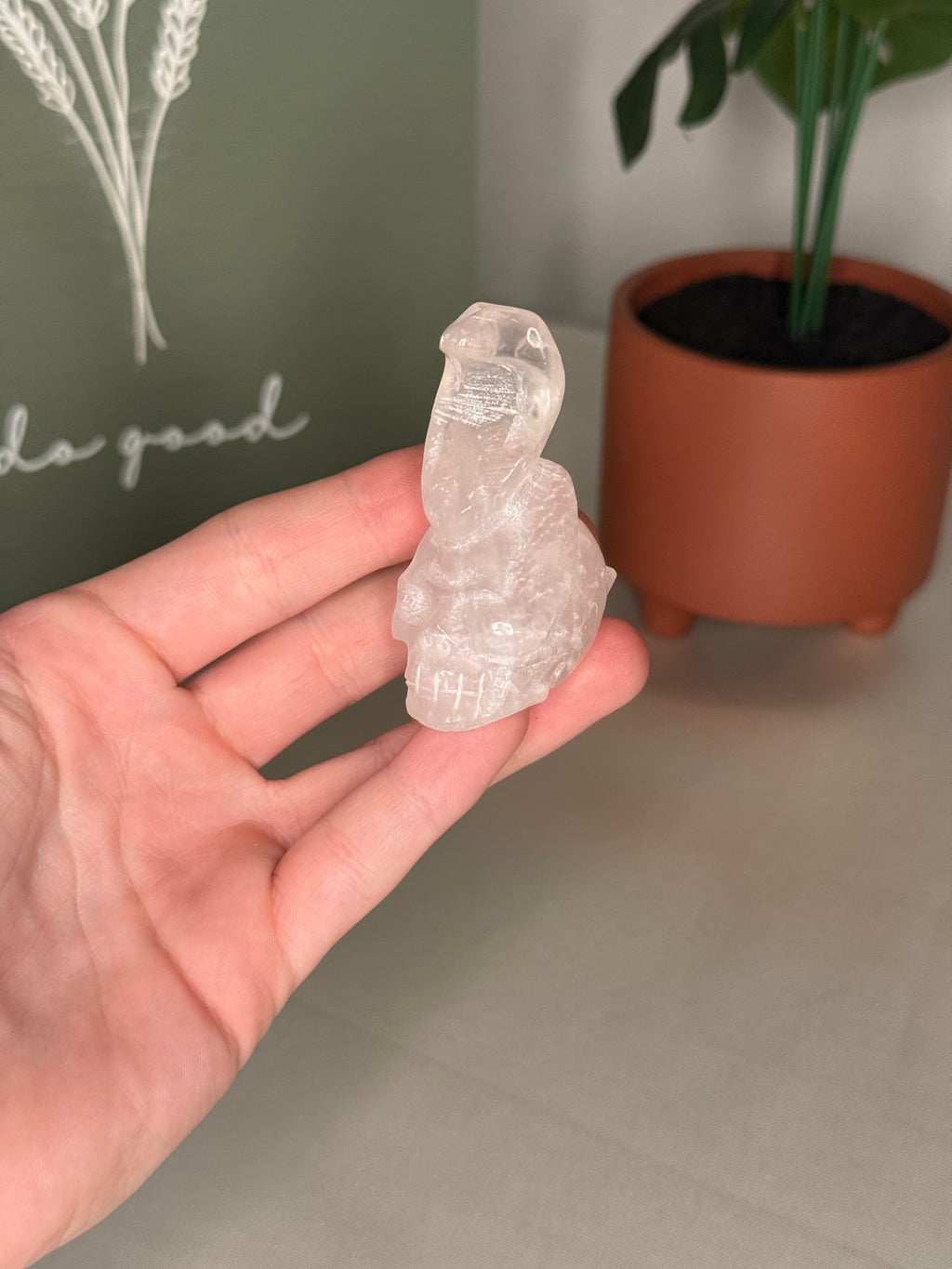 Clear quartz snake skull