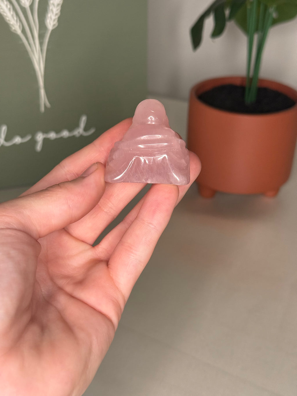 Rose quartz buddah