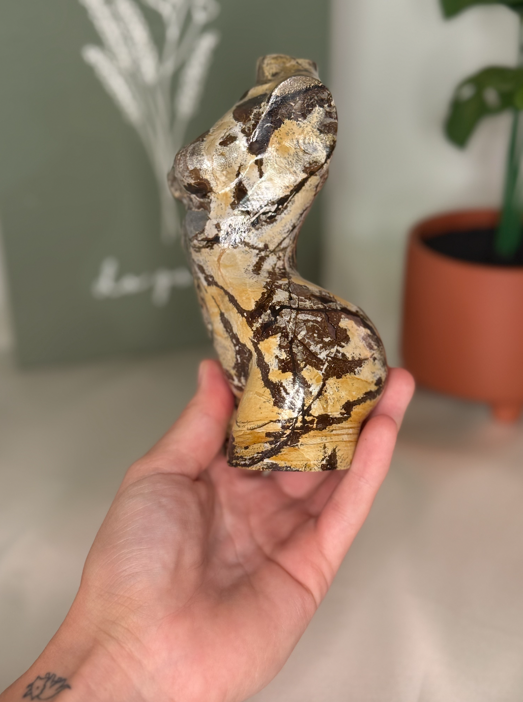 Picture jasper lady body