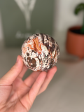 Money agate sphere